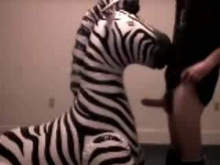 Zebra gets throat gefickt von pervert guy video