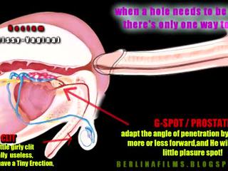 Shemale Aanatomy(Some kind of sissy-trainer)