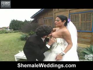 Shemale With Shemale Bride - Shemale bride - Mature Porn Tube - New Shemale bride Sex Videos.