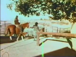 Liefde boerderij - 1971