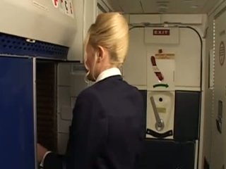 jednolity, stewardess