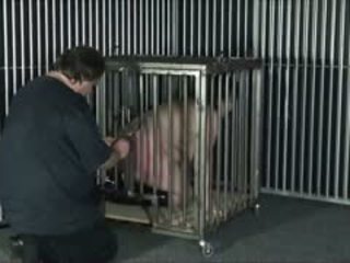 Chinas electro tortura și ac bdsm